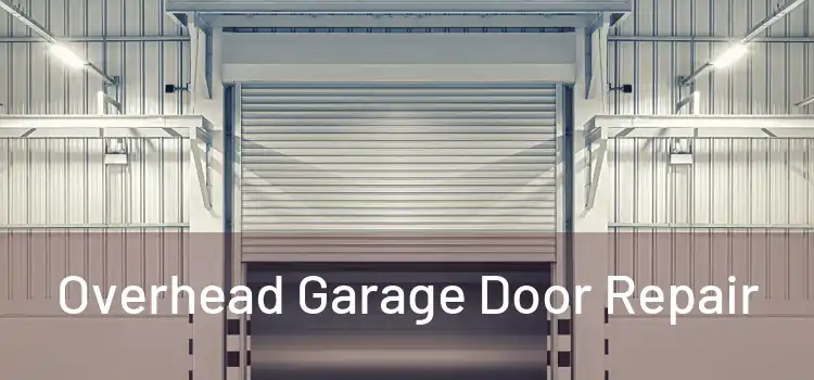 Overhead Garage Door Repair